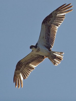 GRP 2012_05_29 -107.jpg