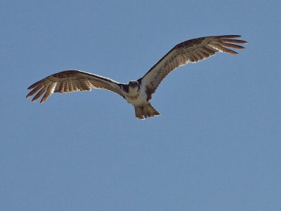 GRP 2012_05_29 -108.jpg