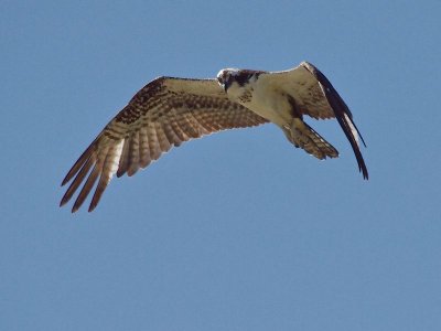 GRP 2012_05_29 -109.jpg