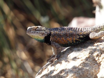 DBG 2010_07_24 1.jpg