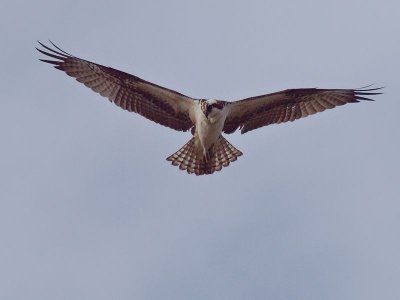 GRP 2012_12_29 -25.jpg