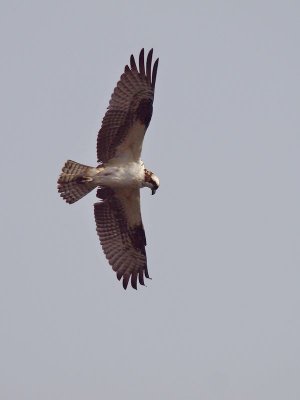 GRP 2012_12_29 -46.jpg