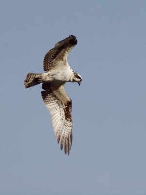 GRP 2012_12_29 -51.jpg