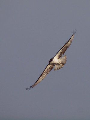 GRP 2012_12_29 -60.jpg