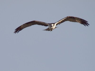 GRP 2012_12_29 -74.jpg