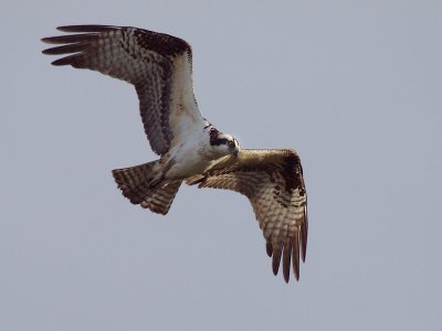 GRP 2012_12_29 -78.jpg