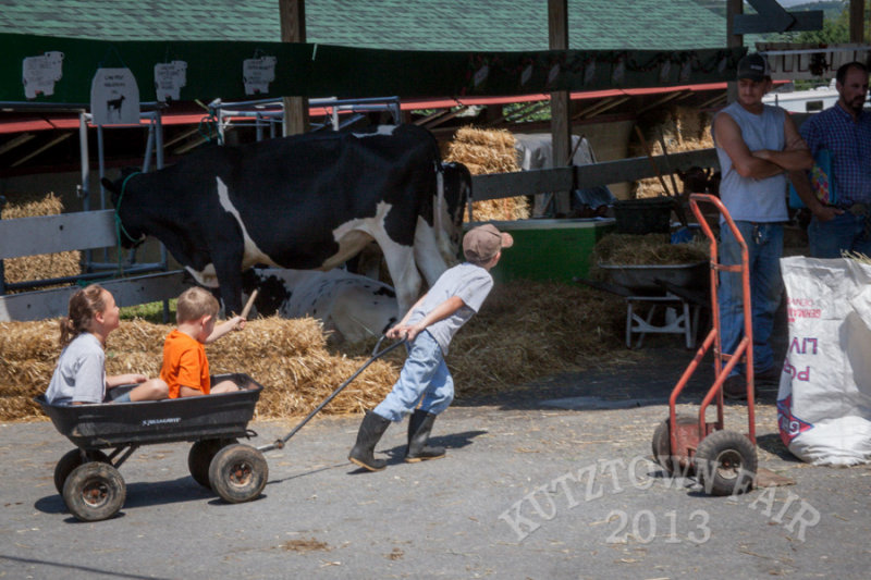 IMG_5923.jpg