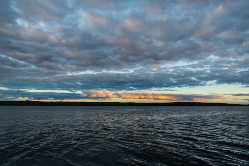 DSC02520.jpg