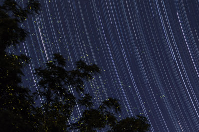 One Hour Fourteen Minutes of Fireflies and Stars