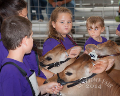 IMG_9469.jpg