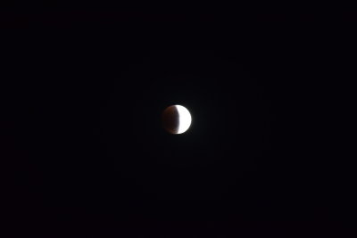 DSC_0030.JPG