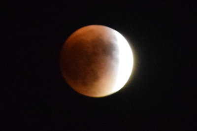 DSC_0047 2.jpg