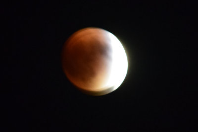 DSC_0049 2.jpg