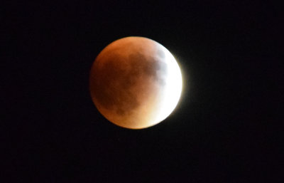 DSC_0051 2.jpg