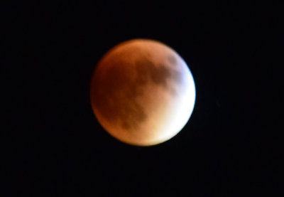DSC_0065 2.jpg