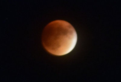 DSC_0079 2.jpg
