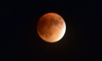 DSC_0080 2.jpg