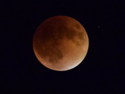 DSC_0106 2.jpg
