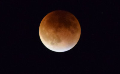 DSC_0118 2.jpg