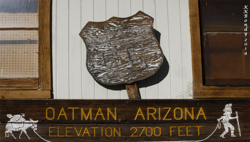 204