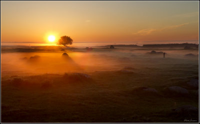 Ottenby  - early morning mist