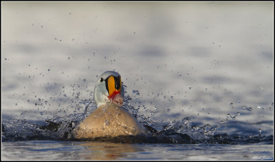 Varanger March 2013