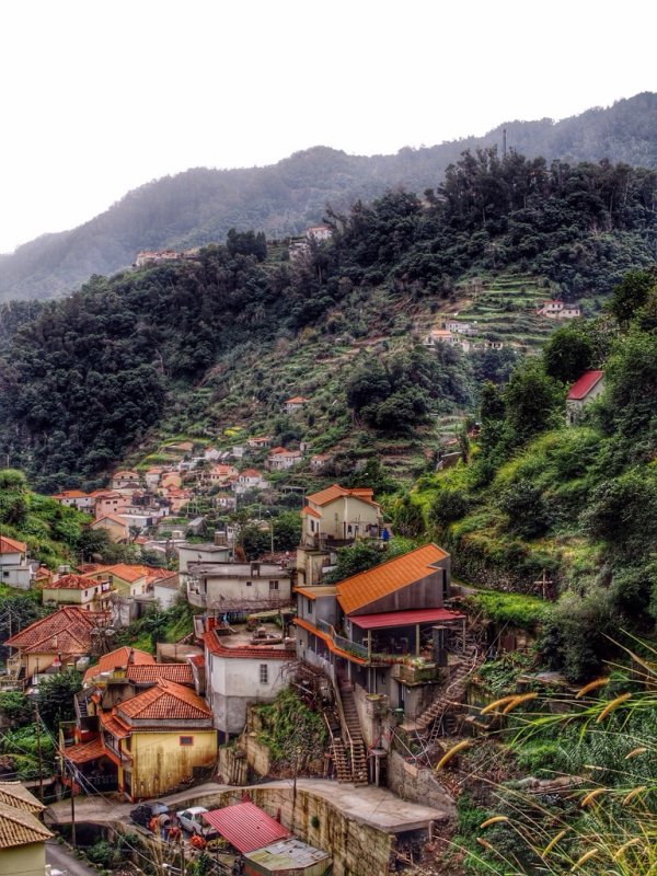 Levada do Canical 3