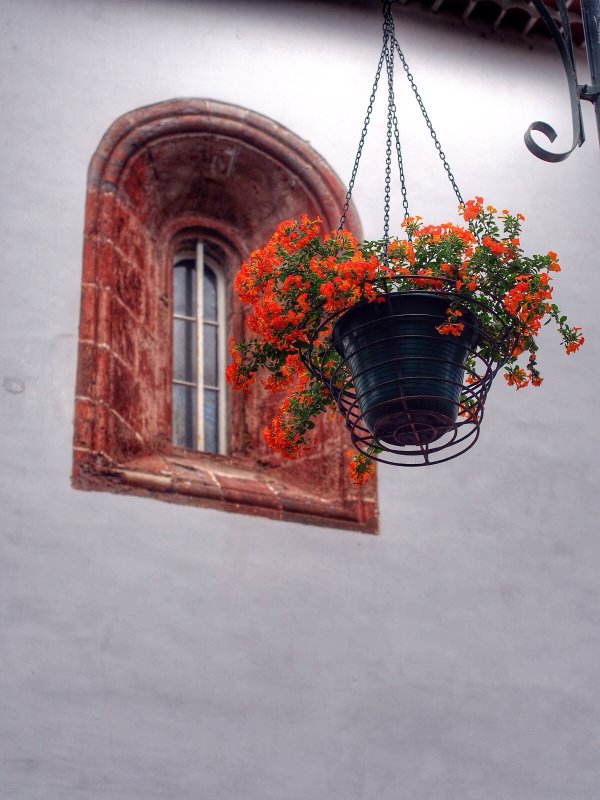 Hanging Basket