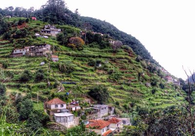 Levada do Canical 2