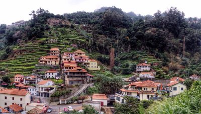 Levada do Canical 1