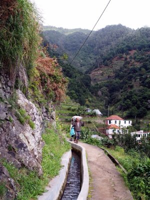Levada do Canical - Load carrying