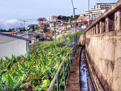 Levada walk within Funchal looking Westward