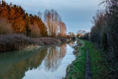 Oxford Canal near Enslow, late afternoon