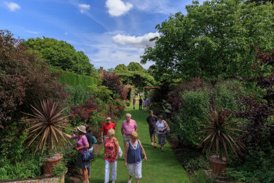 Hidcote-24