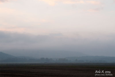 Fog in the fields
