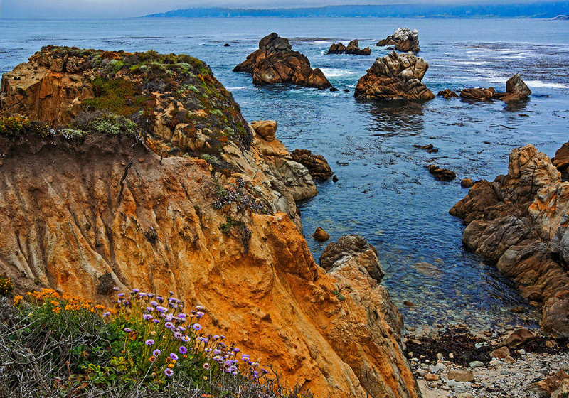 Point Lobos Spring.jpg