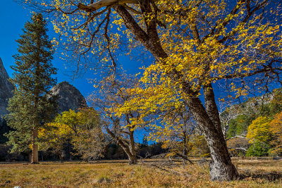 Yosemite Valley in Autumn.jpg