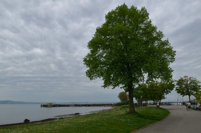 Bodensee