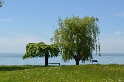 Bodensee