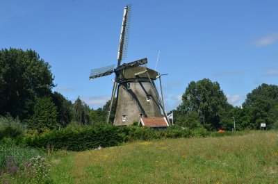 Riekermolen