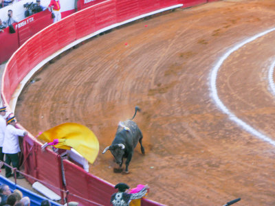 bullfight 1 of 1.jpg