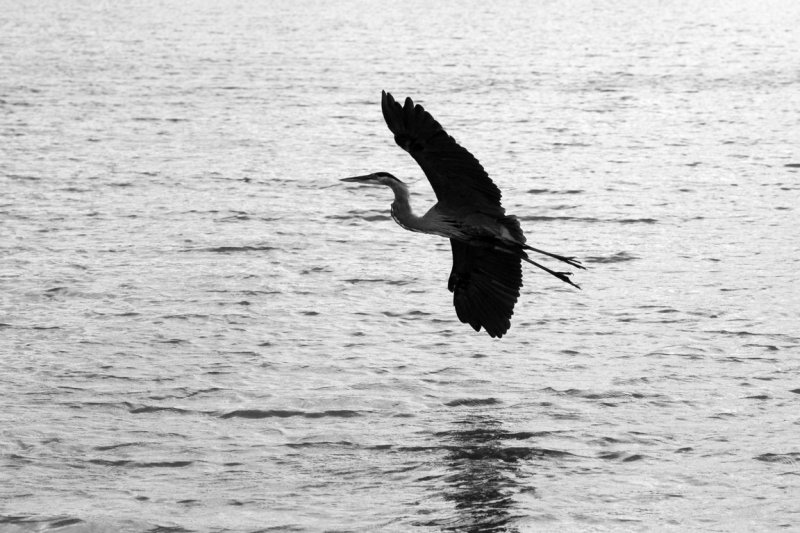 DSC_6817.jpg