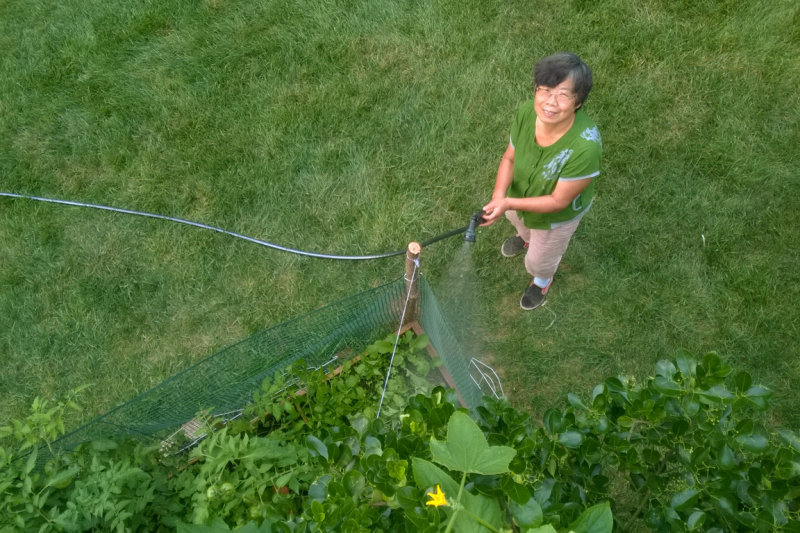 WP_20140808_19_25_55_Pro.jpg
