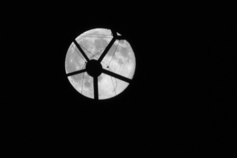 DSC_7117.jpg