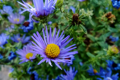 WP_20131026_17_33_38_Pro.jpg