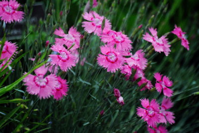 DSC_4838.JPG
