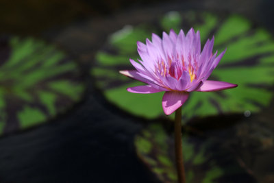 DSC_6666.jpg