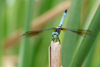 DSC_6693.jpg