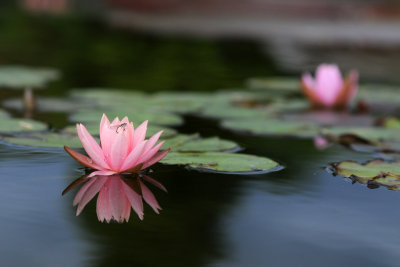 DSC_6712.jpg