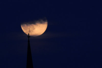 DSC_7077.jpg